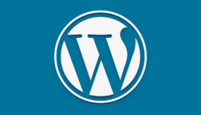 Campos Personalizados no Wordpress